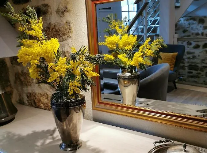 Casa Anca Deluxe Sarlat